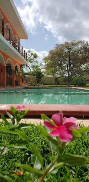 Saak Luum Ruta Puuc Hotel Sacalum Exterior photo
